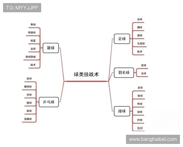 武汉篮球队整体压制战术解析与实战应用探讨