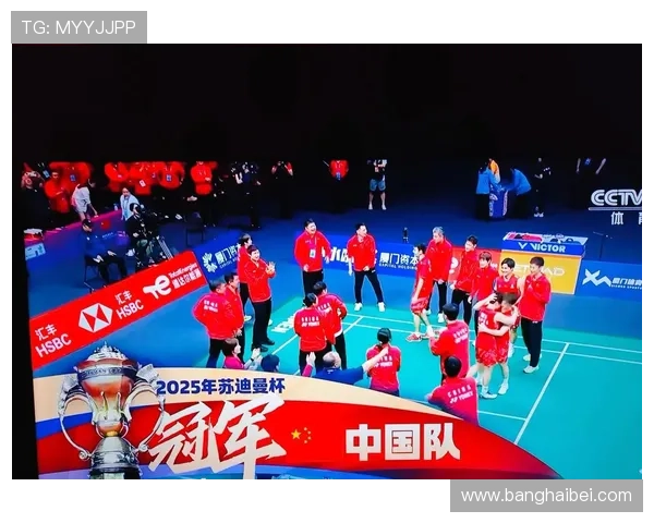 羽毛球盛宴:深入武汉羽毛球队的团队协作与默契之道 羽毛球盛宴:深入武汉羽毛球队的团队协作与默契之道