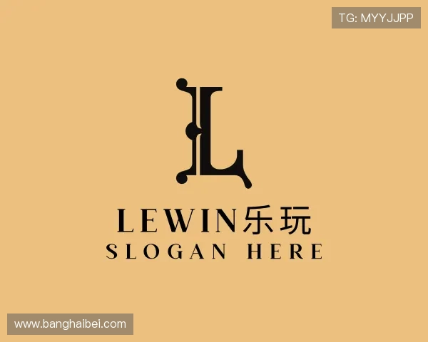 解读LEwin乐玩