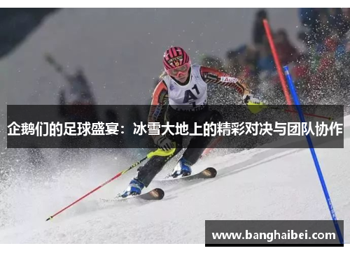 企鹅们的足球盛宴：冰雪大地上的精彩对决与团队协作